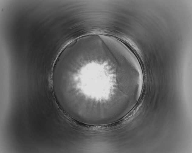 X0000096381097200802211116