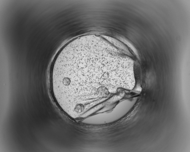 X0000096381099200802211116