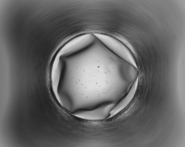 X0000096381101200802211116