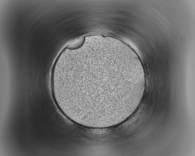 X0000096381103200802211116