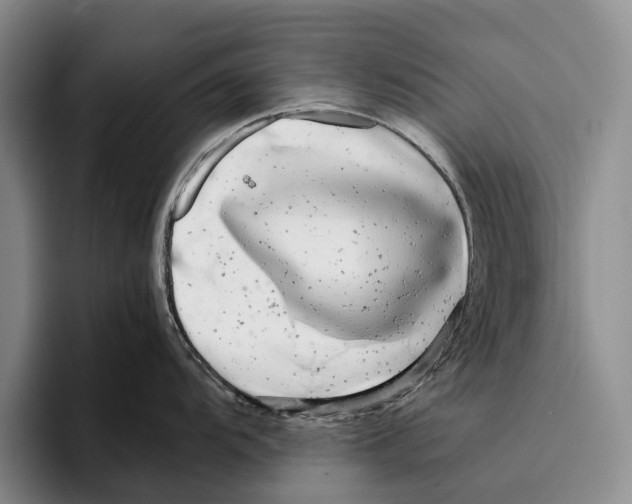 X0000096381104200802211116