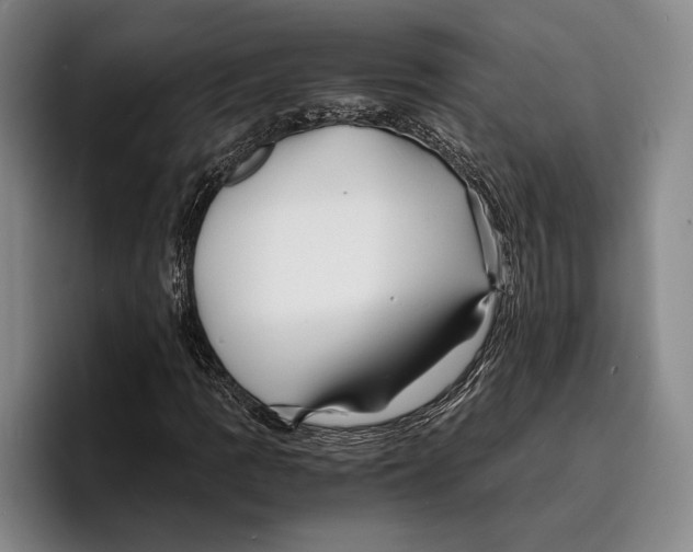 X0000096381109200802211115