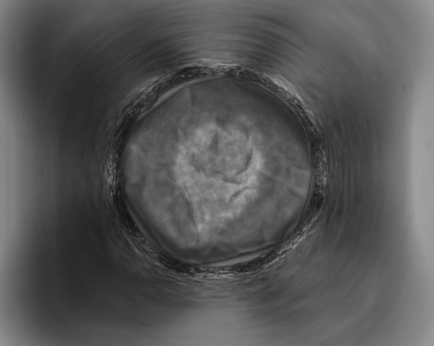 X0000096381110200802211115