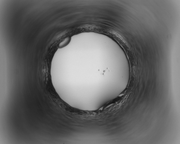 X0000096381111200802211116