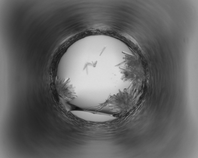 X0000096381112200802211116