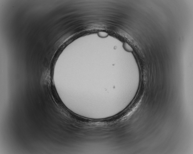 X0000096381113200802211116