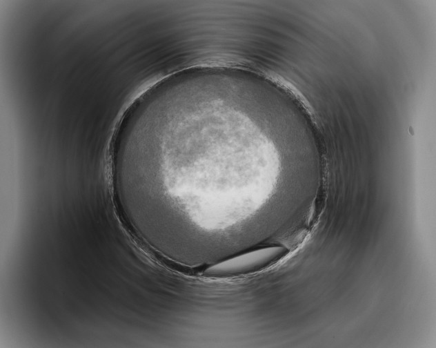 X0000096381114200802211116