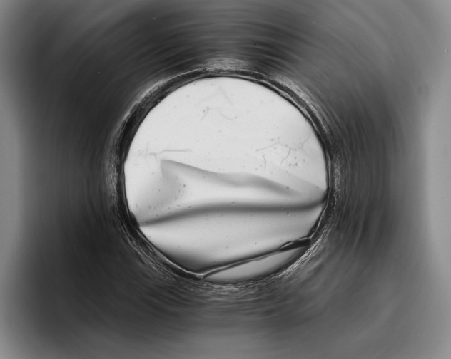 X0000096381115200802211116