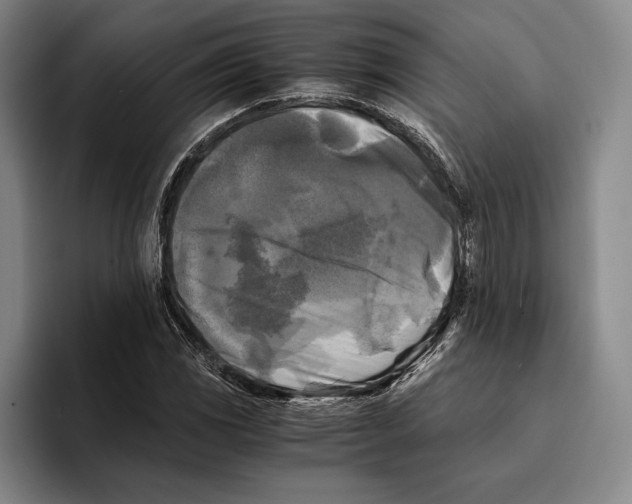 X0000096381117200802211116