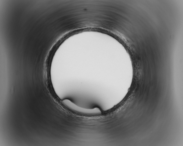 X0000096381118200802211116