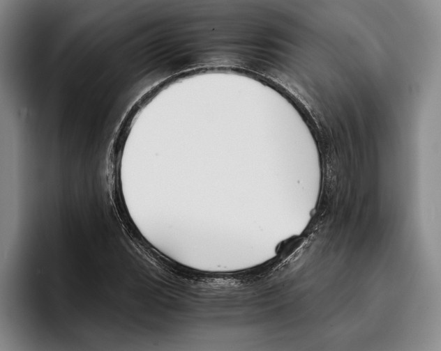 X0000096381119200802211116