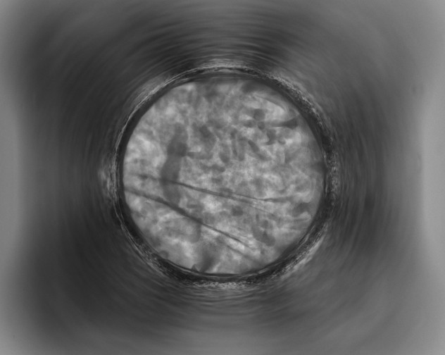 X0000096381121200802211116