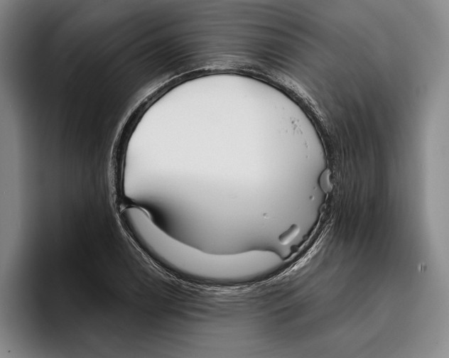 X0000096381122200802211116