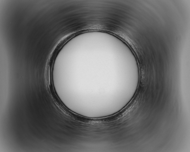 X0000096381123200802211116