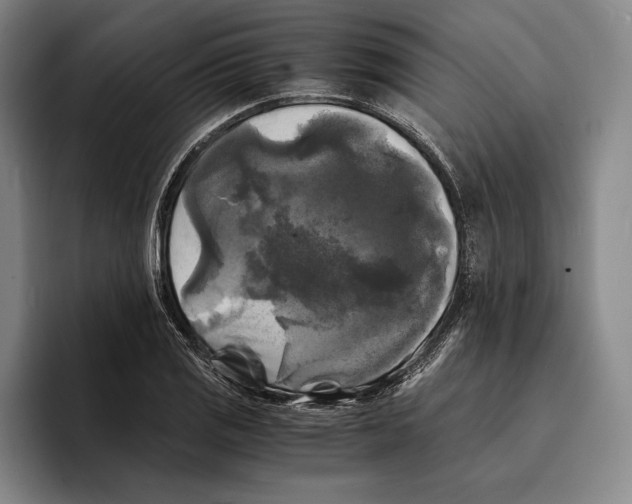 X0000096381125200802211116