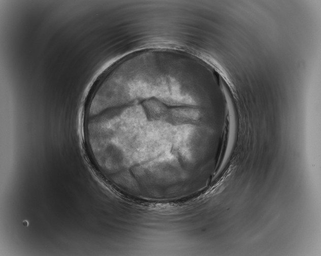 X0000096381128200802211116