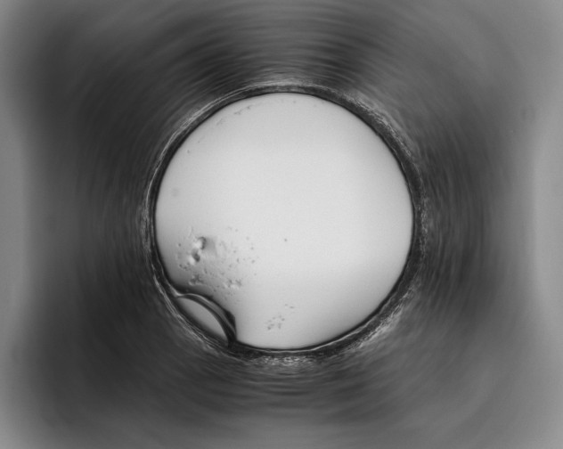 X0000096381129200802211116