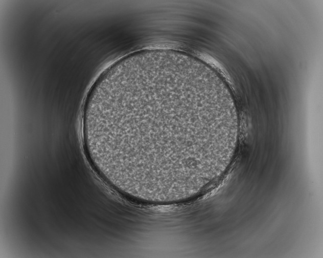 X0000096381130200802211116