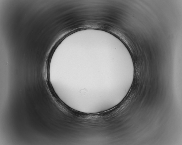 X0000096381131200802211116