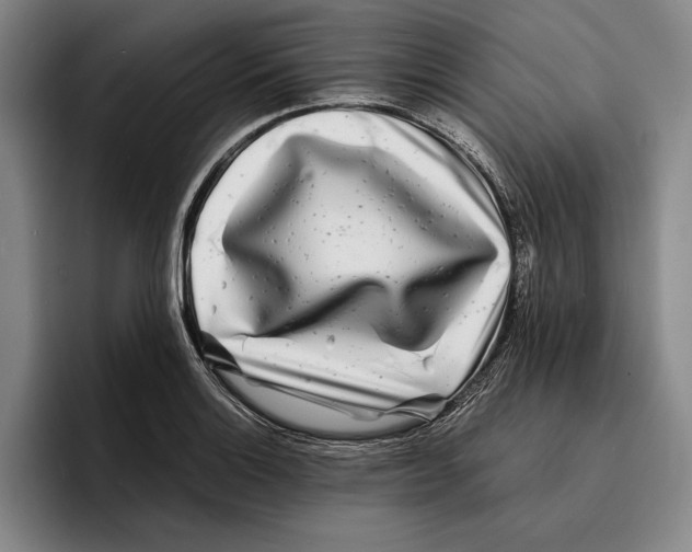 X0000096381132200802211116