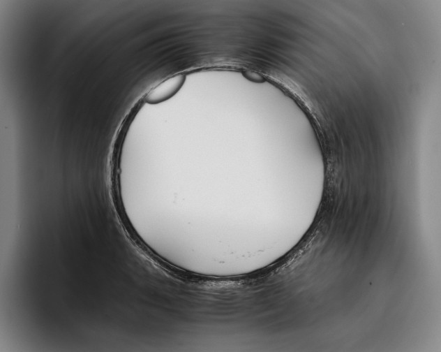 X0000096381135200802211116