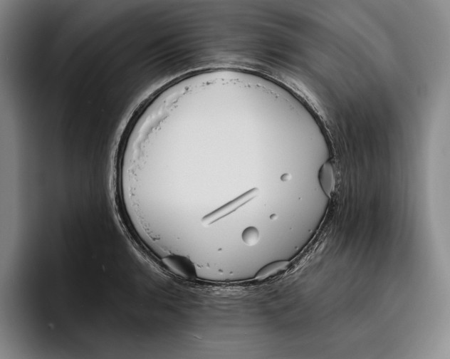 X0000096381136200802211116