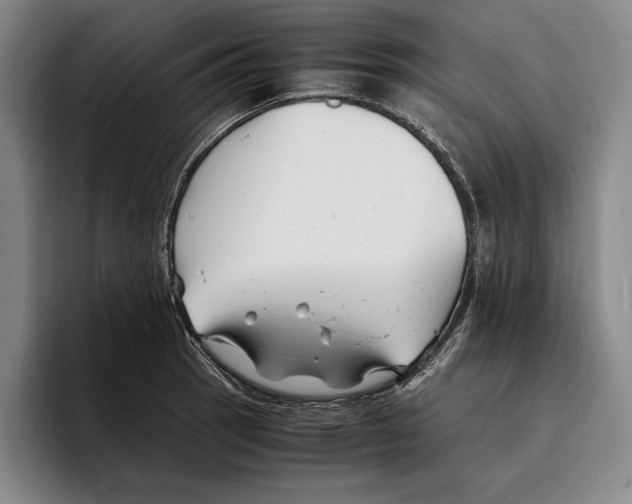 X0000096381137200802211116