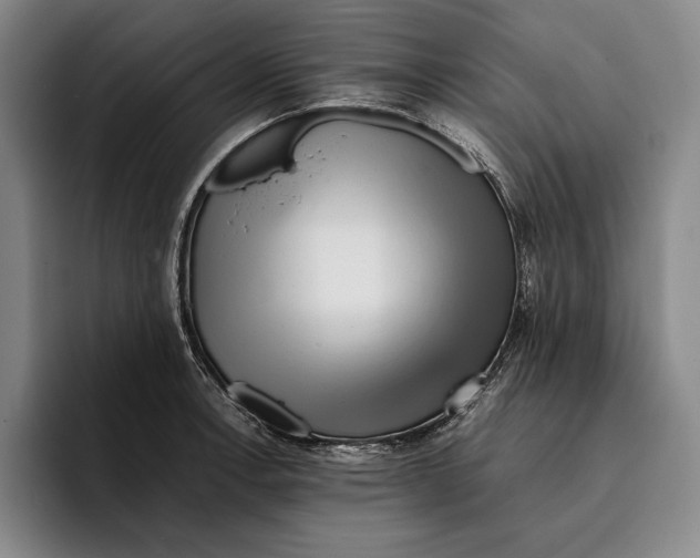 X0000096381138200802211116