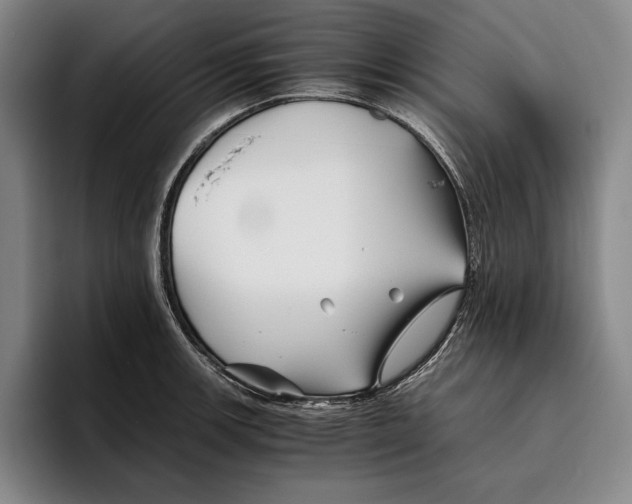 X0000096381139200802211116