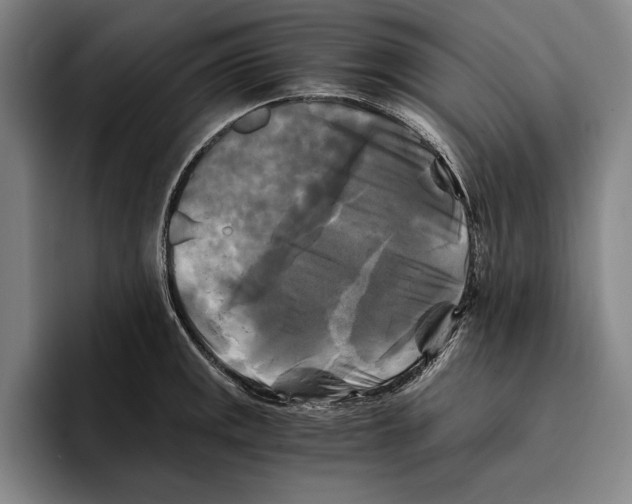 X0000096381141200802211116