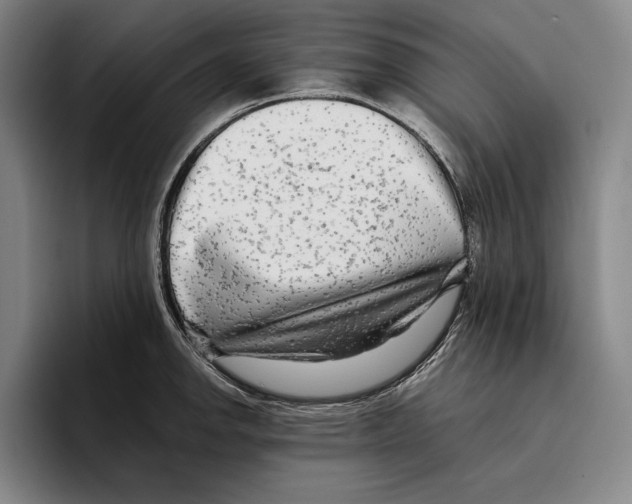 X0000096381142200802211116