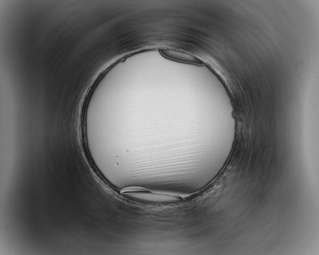 X0000096381143200802211116