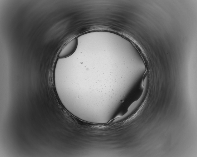 X0000096381145200802211116