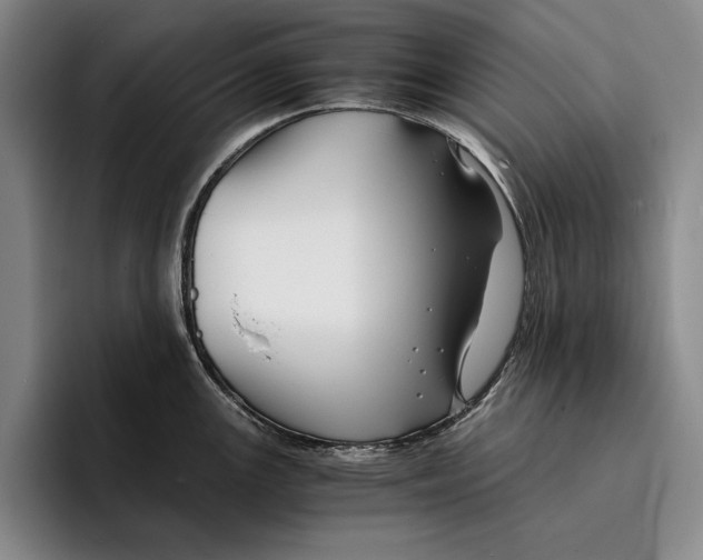 X0000096381147200802211116