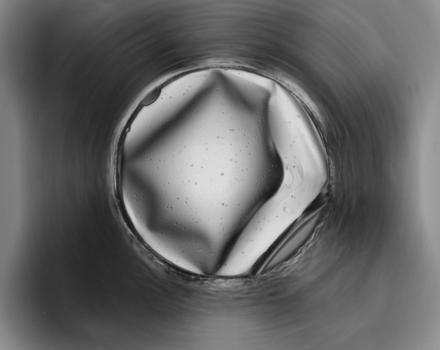 X0000096381148200802211116