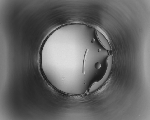 X0000096381149200802211116