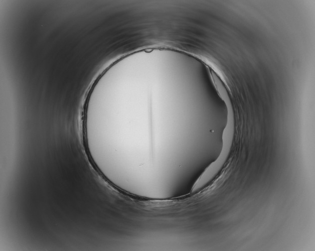 X0000096381151200802211116