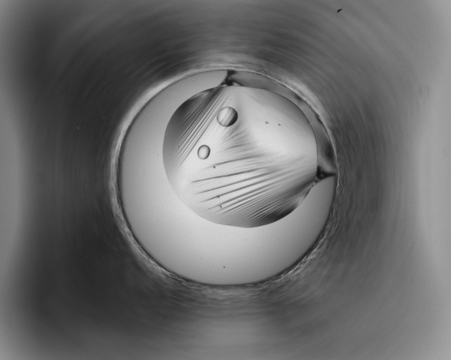 X0000096381152200802211116