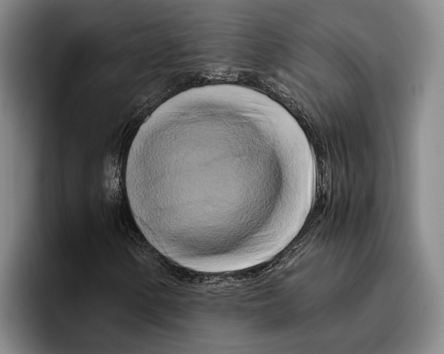 X0000096381154200802211115