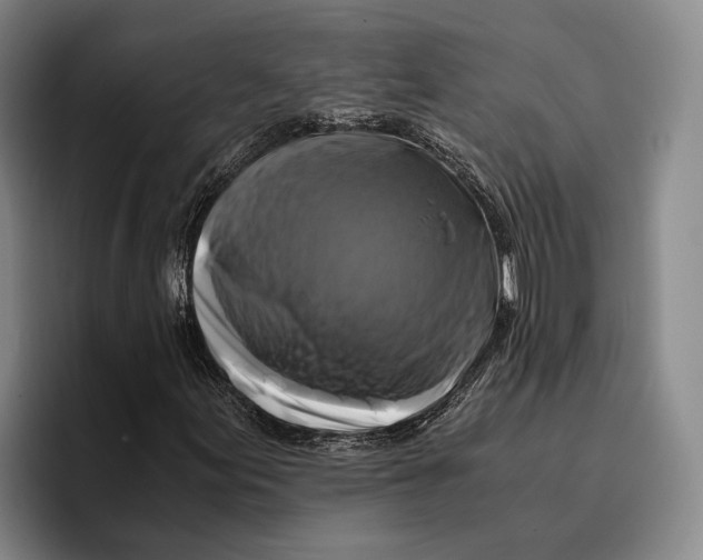 X0000096381155200802211115