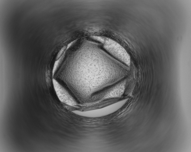 X0000096381156200802211115