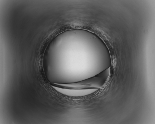 X0000096381157200802211115