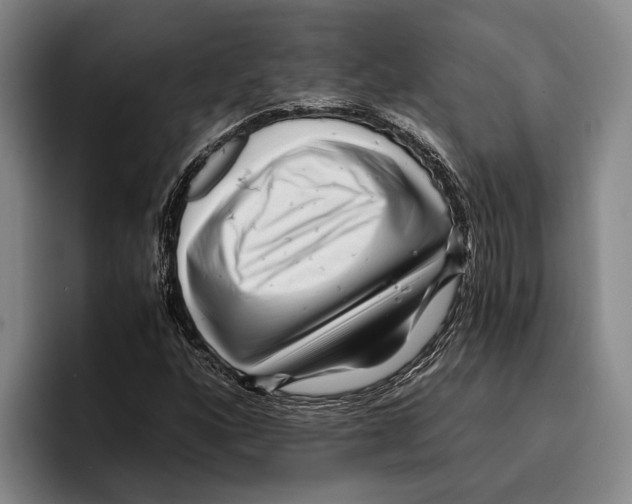 X0000096381160200802211115