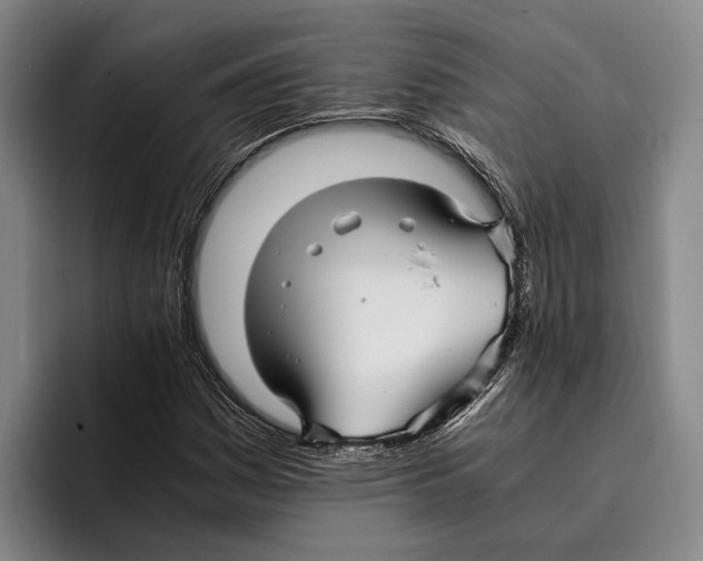 X0000096381161200802211115