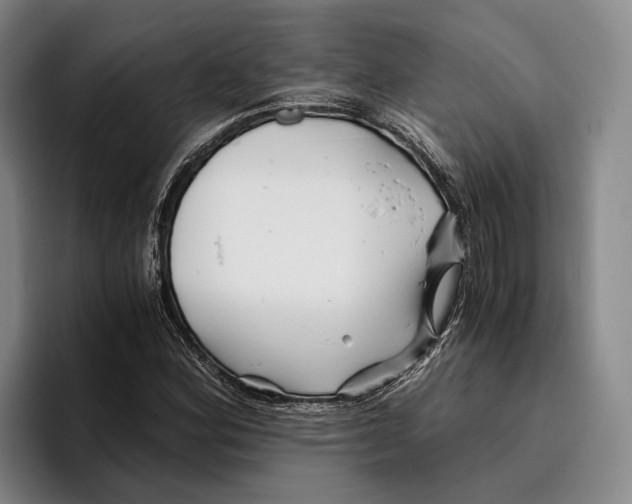 X0000096381164200802211115