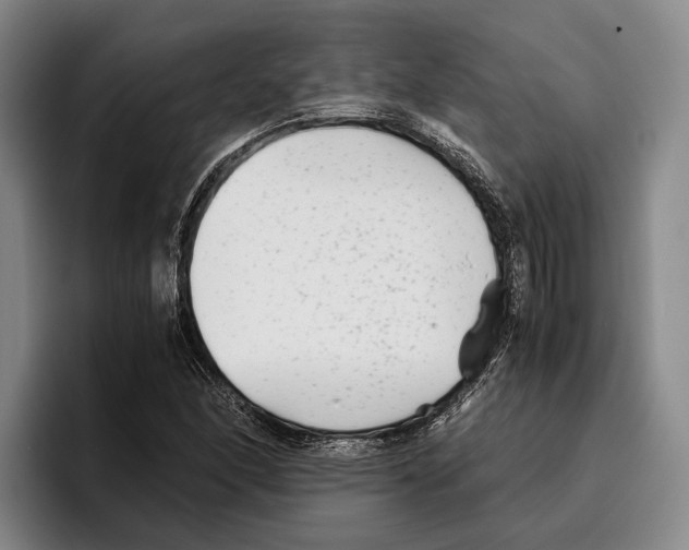 X0000096381166200802211115