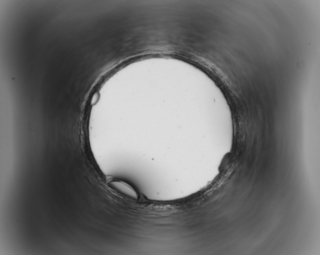 X0000096381168200802211115