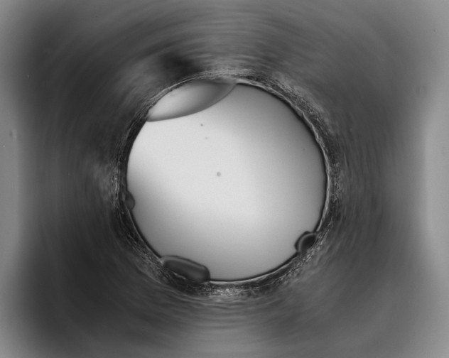 X0000096381169200802211115