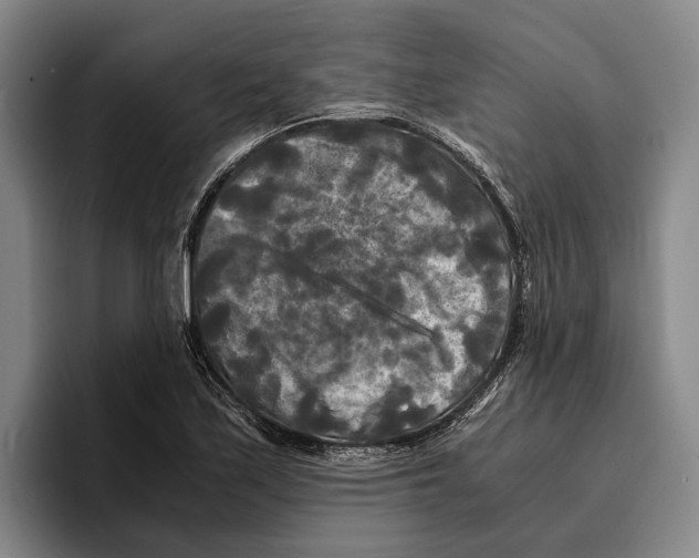 X0000096381171200802211115