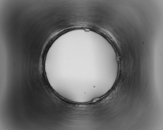 X0000096381172200802211115